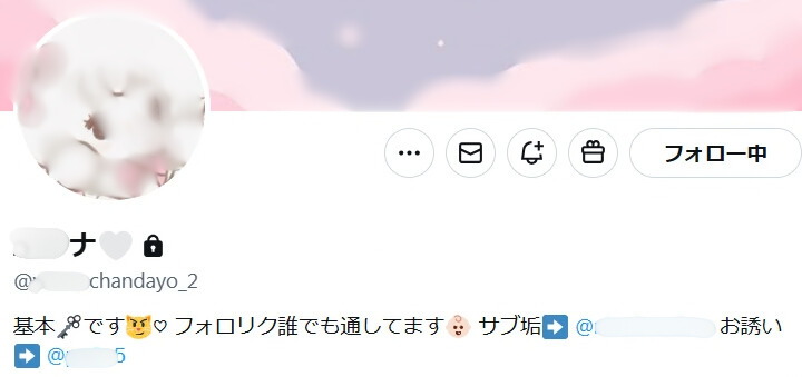 個人募集嬢　SNS　エロ